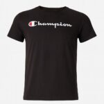 Champion SM